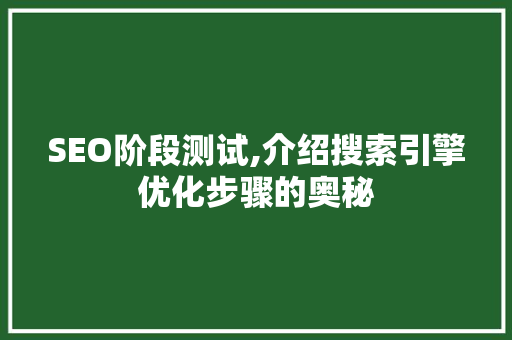 SEO阶段测试,介绍搜索引擎优化步骤的奥秘