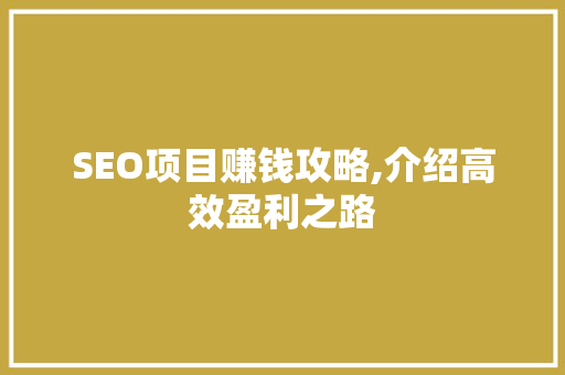 SEO项目赚钱攻略,介绍高效盈利之路