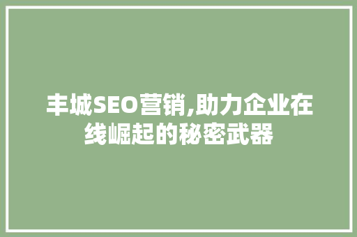 丰城SEO营销,助力企业在线崛起的秘密武器