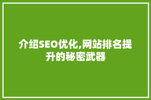 介绍SEO优化,网站排名提升的秘密武器