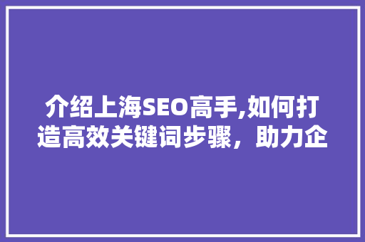 介绍上海SEO高手,如何打造高效关键词步骤，助力企业腾飞