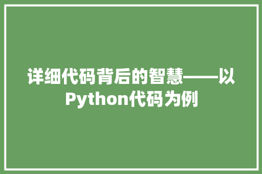 详细代码背后的智慧——以Python代码为例