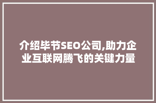 介绍毕节SEO公司,助力企业互联网腾飞的关键力量