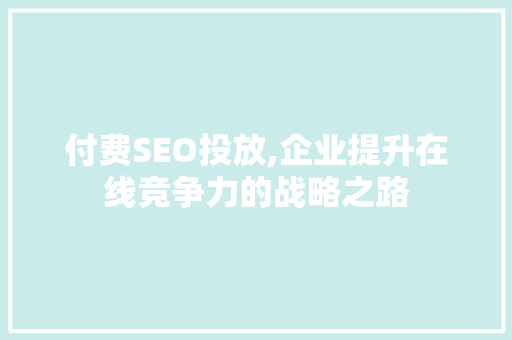 付费SEO投放,企业提升在线竞争力的战略之路