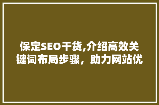 保定SEO干货,介绍高效关键词布局步骤，助力网站优化脱颖而出