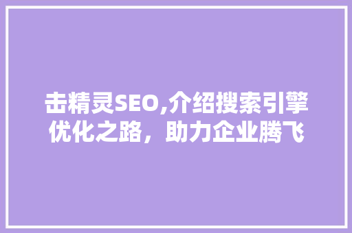 击精灵SEO,介绍搜索引擎优化之路，助力企业腾飞