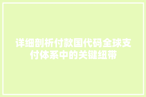 详细剖析付款国代码全球支付体系中的关键纽带