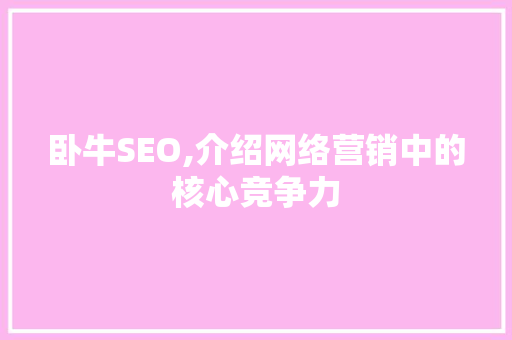 卧牛SEO,介绍网络营销中的核心竞争力