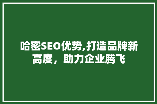 哈密SEO优势,打造品牌新高度，助力企业腾飞