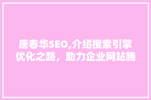 唐春华SEO,介绍搜索引擎优化之路，助力企业网站腾飞