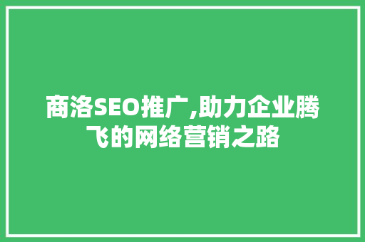 商洛SEO推广,助力企业腾飞的网络营销之路