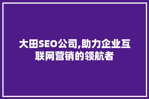 大田SEO公司,助力企业互联网营销的领航者
