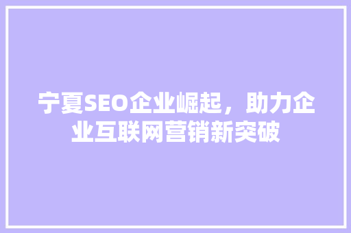 宁夏SEO企业崛起，助力企业互联网营销新突破