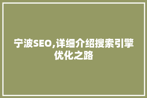 宁波SEO,详细介绍搜索引擎优化之路  第1张