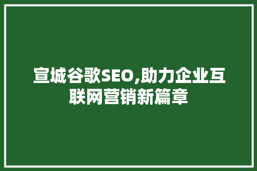 宣城谷歌SEO,助力企业互联网营销新篇章  第1张