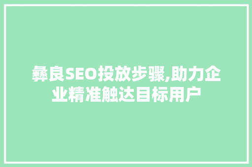 彝良SEO投放步骤,助力企业精准触达目标用户