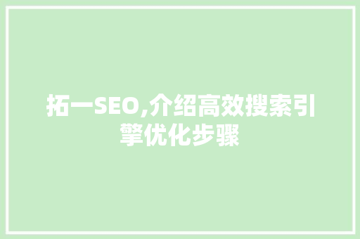 拓一SEO,介绍高效搜索引擎优化步骤