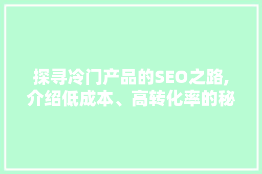 探寻冷门产品的SEO之路,介绍低成本、高转化率的秘密武器