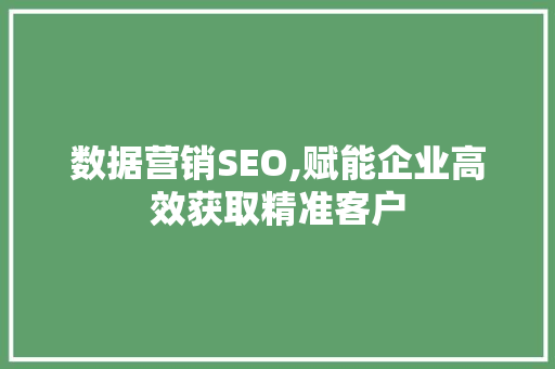 数据营销SEO,赋能企业高效获取精准客户