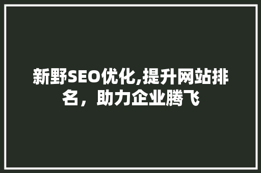 新野SEO优化,提升网站排名，助力企业腾飞