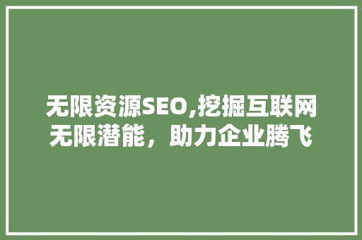 无限资源SEO,挖掘互联网无限潜能，助力企业腾飞