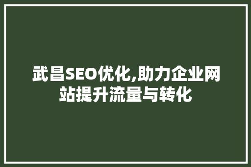 武昌SEO优化,助力企业网站提升流量与转化
