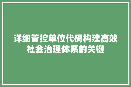 详细管控单位代码构建高效社会治理体系的关键