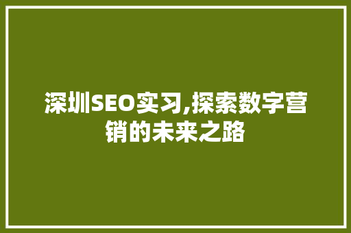 深圳SEO实习,探索数字营销的未来之路
