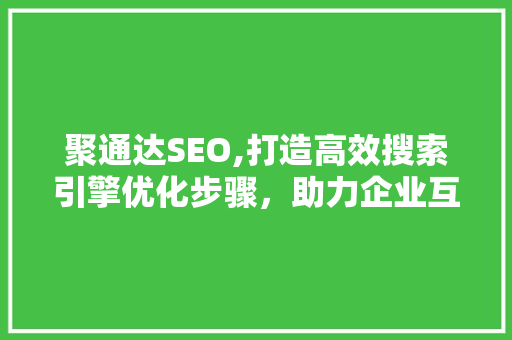 聚通达SEO,打造高效搜索引擎优化步骤，助力企业互联网营销