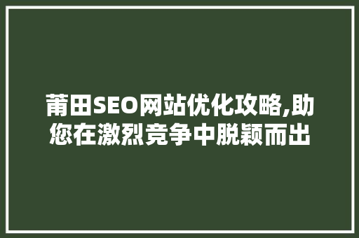 莆田SEO网站优化攻略,助您在激烈竞争中脱颖而出