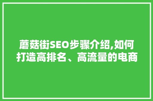 蘑菇街SEO步骤介绍,如何打造高排名、高流量的电商网站
