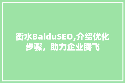 衡水BaiduSEO,介绍优化步骤，助力企业腾飞