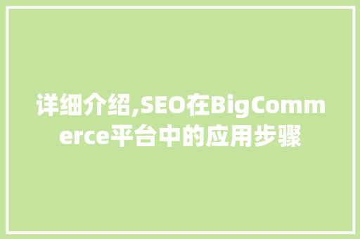 详细介绍,SEO在BigCommerce平台中的应用步骤