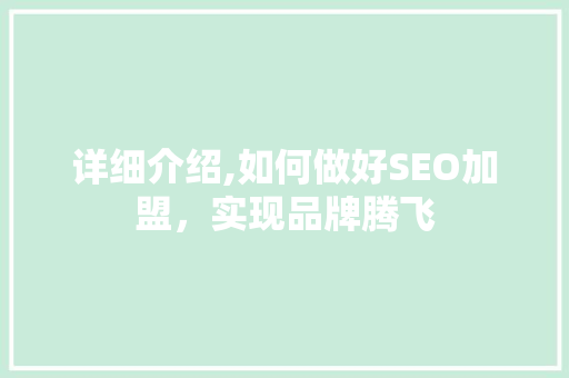 详细介绍,如何做好SEO加盟，实现品牌腾飞