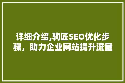 详细介绍,驹匠SEO优化步骤，助力企业网站提升流量与排名