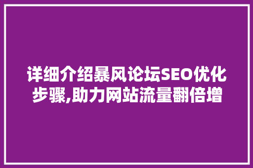 详细介绍暴风论坛SEO优化步骤,助力网站流量翻倍增长