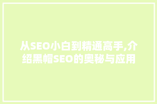 从SEO小白到精通高手,介绍黑帽SEO的奥秘与应用