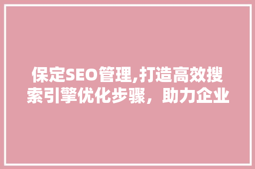 保定SEO管理,打造高效搜索引擎优化步骤，助力企业在线发展