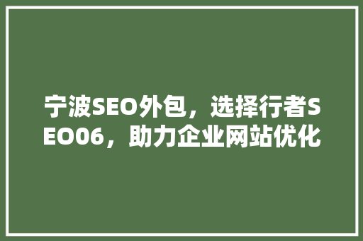 宁波SEO外包，选择行者SEO06，助力企业网站优化