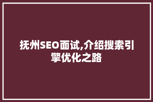 抚州SEO面试,介绍搜索引擎优化之路