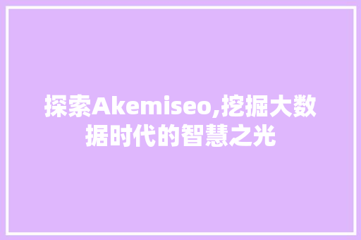 探索Akemiseo,挖掘大数据时代的智慧之光
