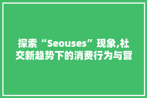 探索“Seouses”现象,社交新趋势下的消费行为与营销步骤