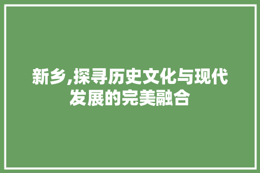 新乡,探寻历史文化与现代发展的完美融合