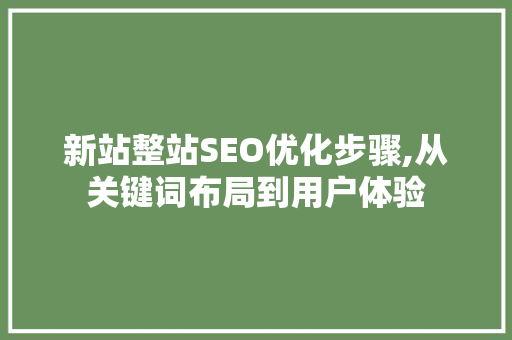 新站整站SEO优化步骤,从关键词布局到用户体验