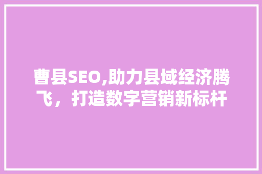 曹县SEO,助力县域经济腾飞，打造数字营销新标杆