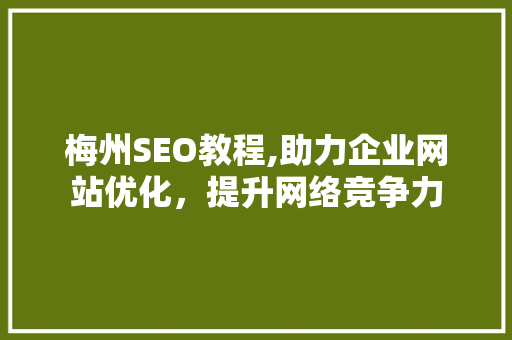 梅州SEO教程,助力企业网站优化，提升网络竞争力