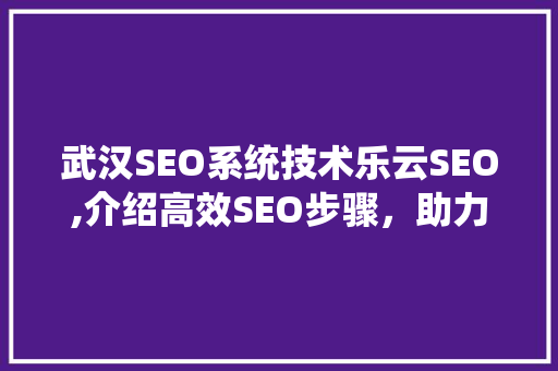 武汉SEO系统技术乐云SEO,介绍高效SEO步骤，助力企业网站排名提升