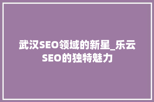 武汉SEO领域的新星_乐云SEO的独特魅力