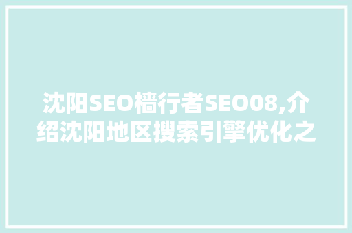 沈阳SEO樯行者SEO08,介绍沈阳地区搜索引擎优化之路
