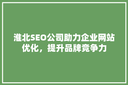 淮北SEO公司助力企业网站优化，提升品牌竞争力